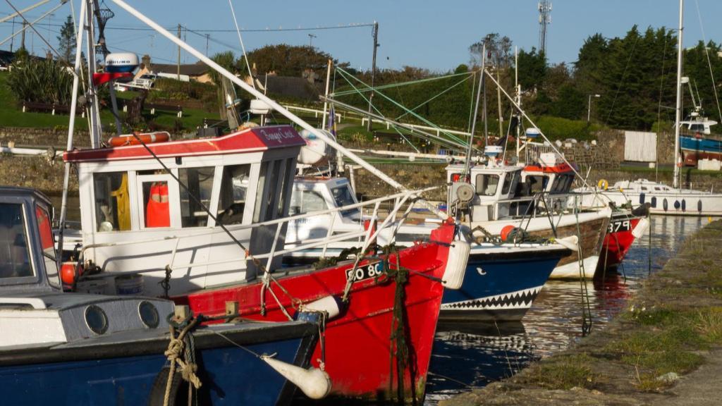 Harbour House B&B コータウン エクステリア 写真